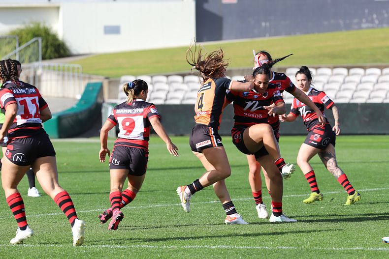 HNWP Semi Final BEARS v WESTSTIGERS