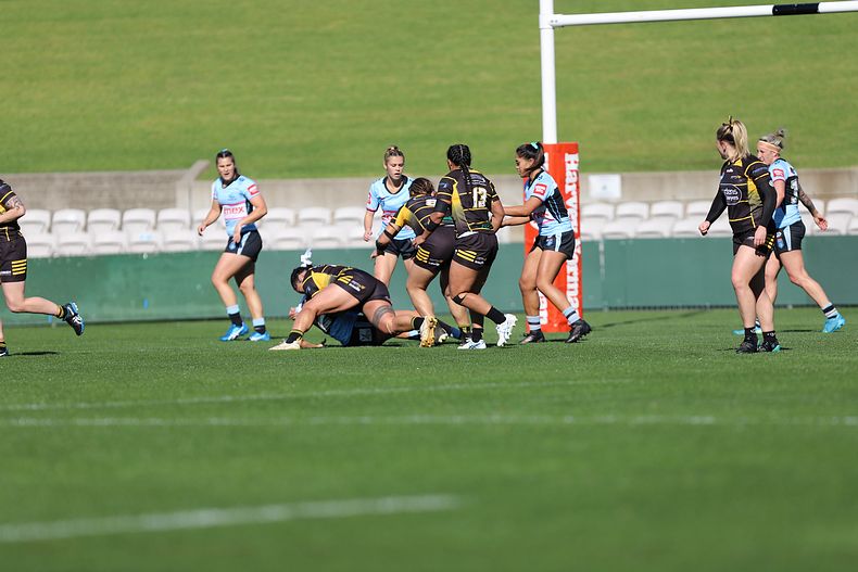 HNWP Semi Final Sharks v Mounties