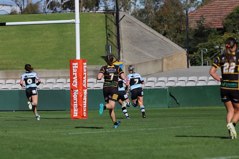 HNWP Semi Final Sharks v Mounties