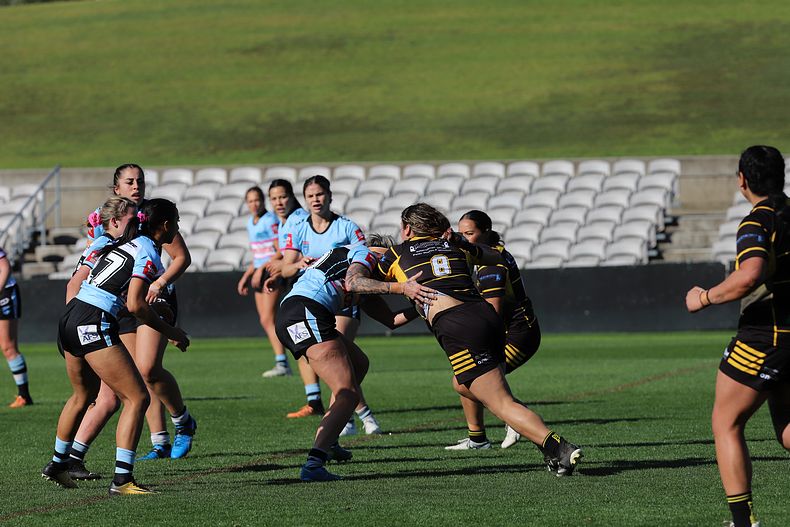 HNWP Semi Final Sharks v Mounties