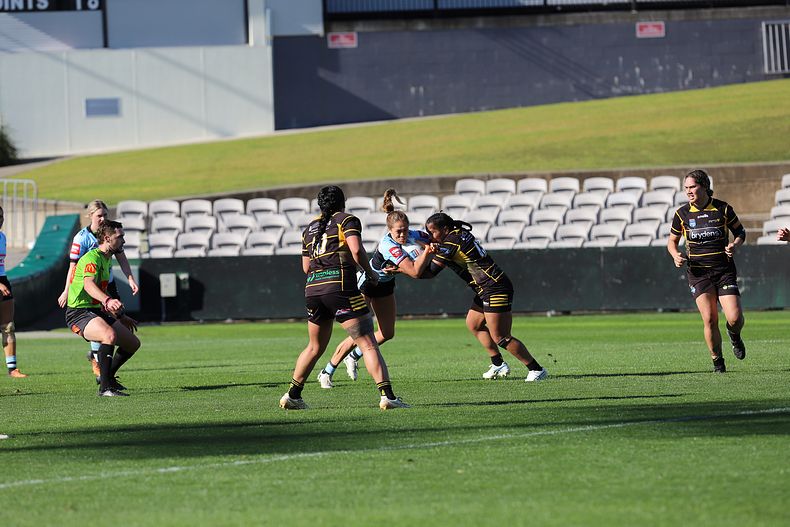 HNWP Semi Final Sharks v Mounties