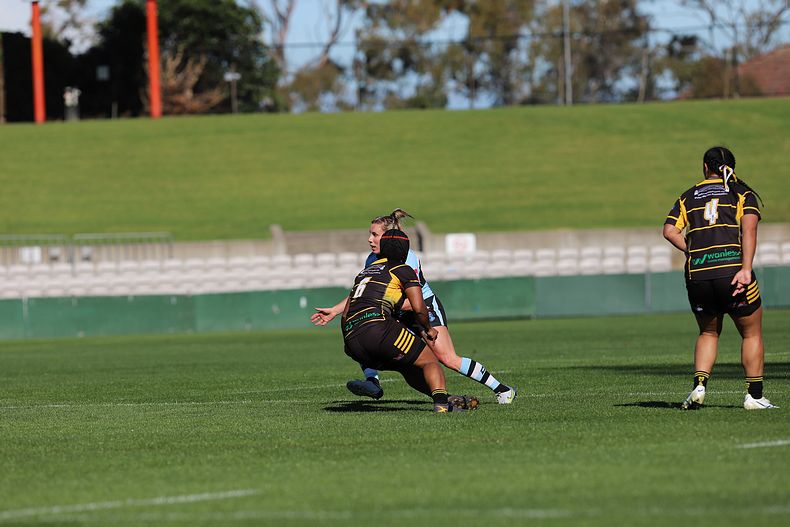 HNWP Semi Final Sharks v Mounties