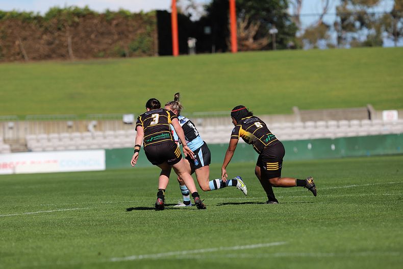HNWP Semi Final Sharks v Mounties