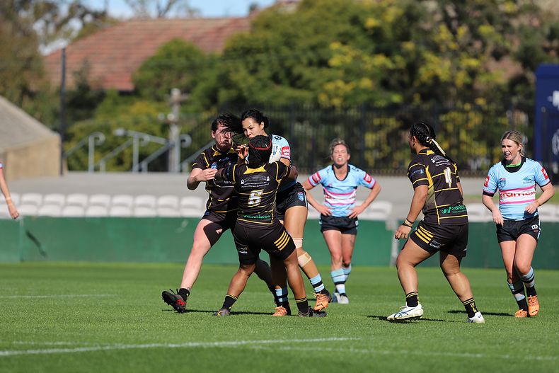 HNWP Semi Final Sharks v Mounties