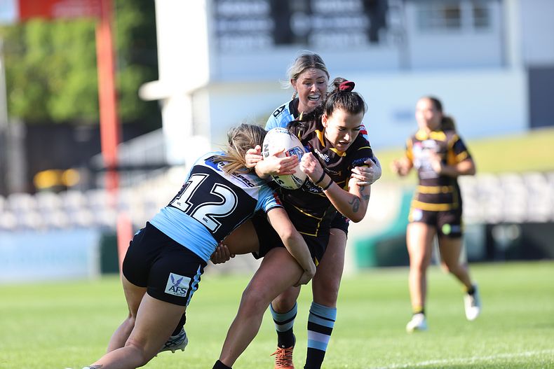 HNWP Semi Final Sharks v Mounties