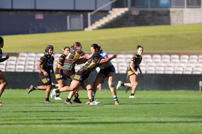 HNWP Semi Final Sharks v Mounties