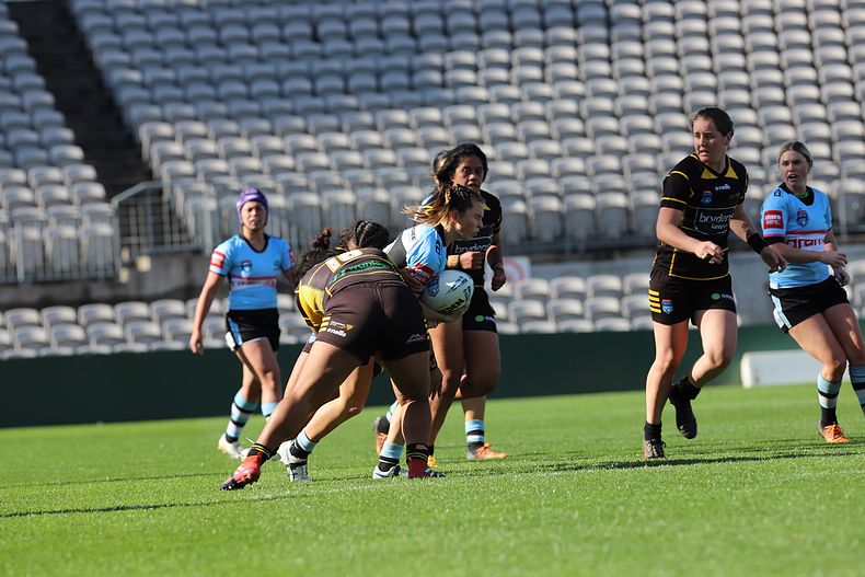 HNWP Semi Final Sharks v Mounties