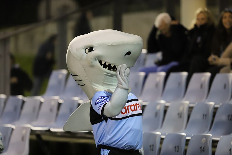 Jersey Flegg Rnd 17 SHARKS v THUNDERBOLTS