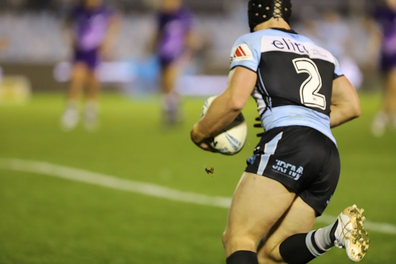 Jersey Flegg Rnd 17 SHARKS v THUNDERBOLTS