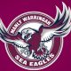 Sea Eagles to enter female team in 2023 NSWRL Tarsha Gale Cup