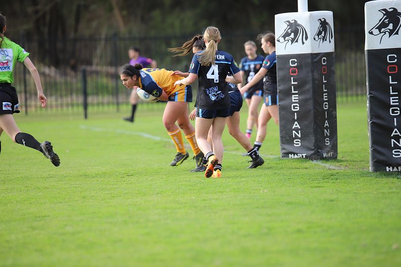 NSWCHS u16 Girls Day 2 Sydney Gold v Western