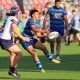 2022 Schoolboy Cup National Final Action Photo's Ipswich SHS v Patrician Brother College Fairfield (Photo's : Steve Montgomery)