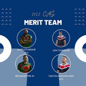 VIC Merit team