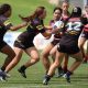 Penrith Panthers Tarsha Gale Cup taking on the Bears in Rnd 2 (Photo : Steve Montgomery)
