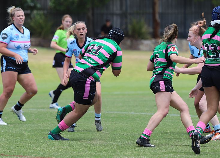 HNWP Trial SHARKS v RABBITOH’S