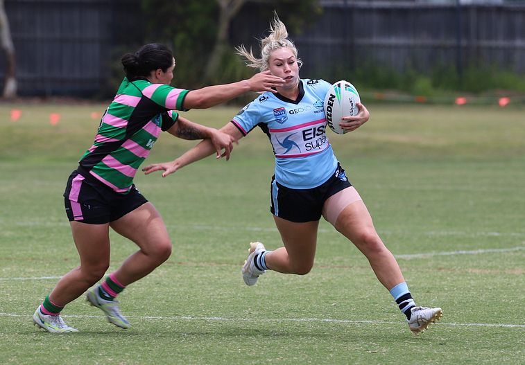 HNWP Trial SHARKS v RABBITOH’S