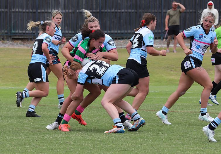 HNWP Trial SHARKS v RABBITOH’S