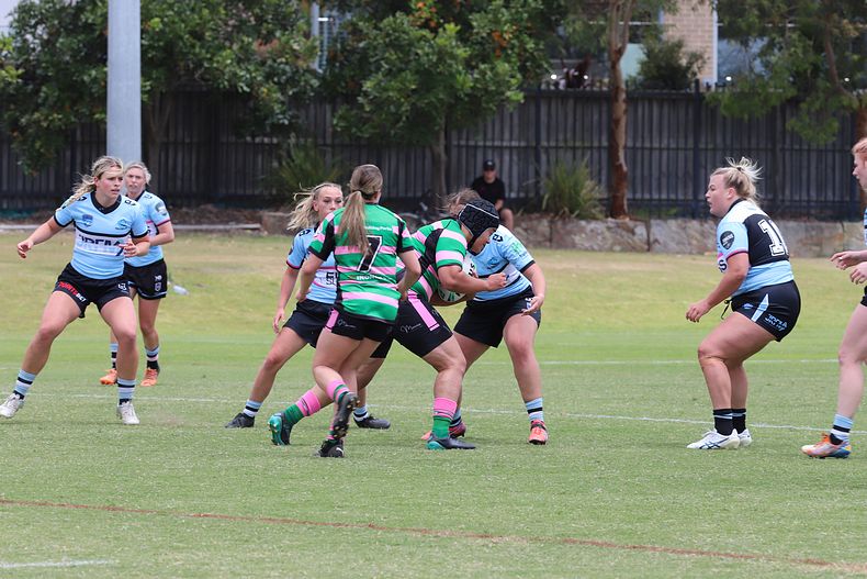 HNWP Trial SHARKS v RABBITOH’S