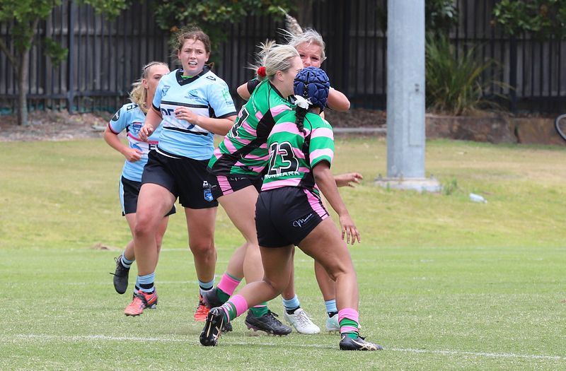 HNWP Trial SHARKS v RABBITOH’S