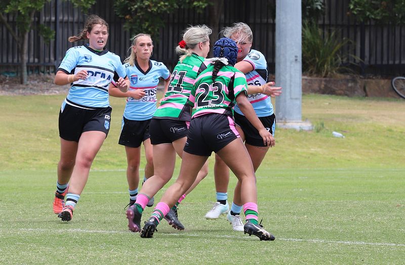 HNWP Trial SHARKS v RABBITOH’S