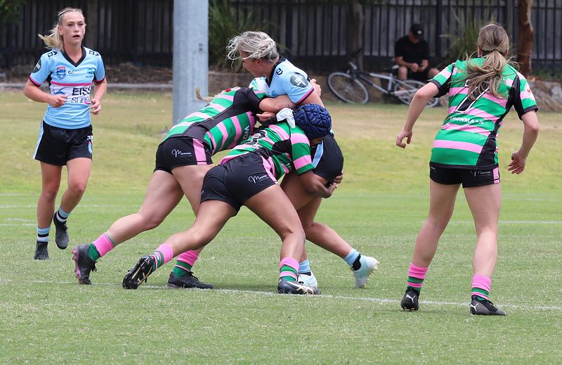 HNWP Trial SHARKS v RABBITOH’S