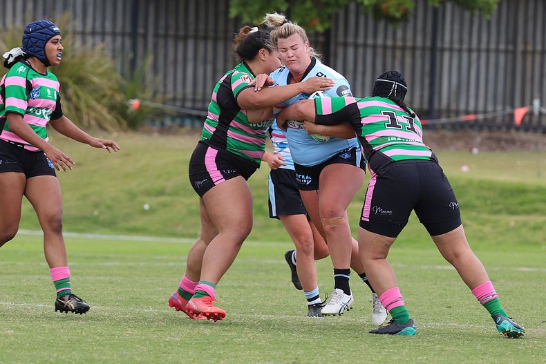 HNWP Trial SHARKS v RABBITOH’S