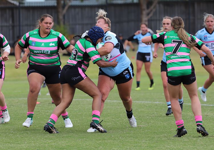 HNWP Trial SHARKS v RABBITOH’S
