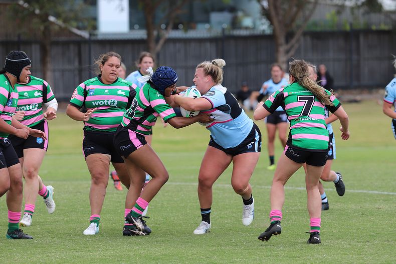 HNWP Trial SHARKS v RABBITOH’S