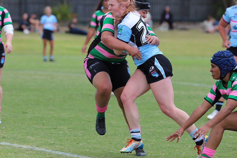 HNWP Trial SHARKS v RABBITOH’S