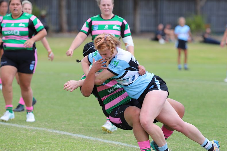 HNWP Trial SHARKS v RABBITOH’S