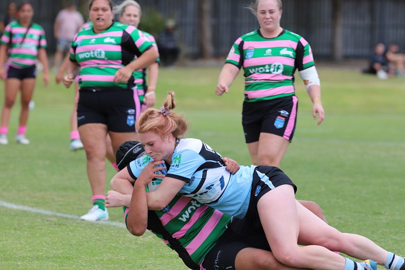 HNWP Trial SHARKS v RABBITOH’S