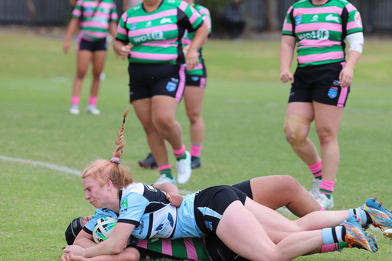 HNWP Trial SHARKS v RABBITOH’S