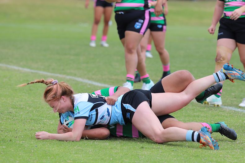 HNWP Trial SHARKS v RABBITOH’S