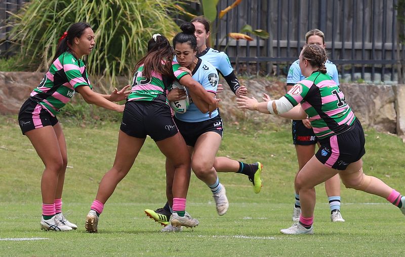 HNWP Trial SHARKS v RABBITOH’S