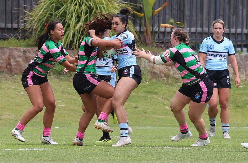 HNWP Trial SHARKS v RABBITOH’S
