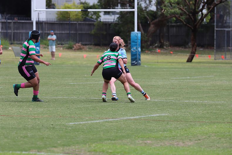 HNWP Trial SHARKS v RABBITOH’S