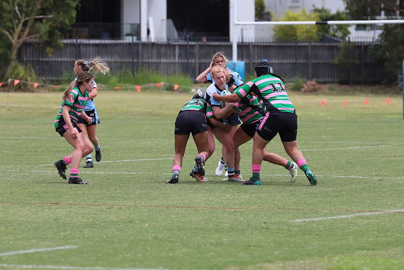 HNWP Trial SHARKS v RABBITOH’S