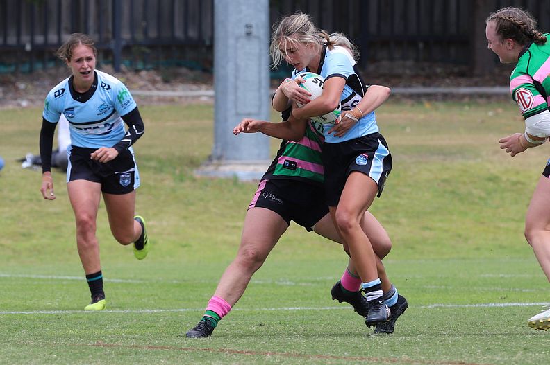 HNWP Trial SHARKS v RABBITOH’S