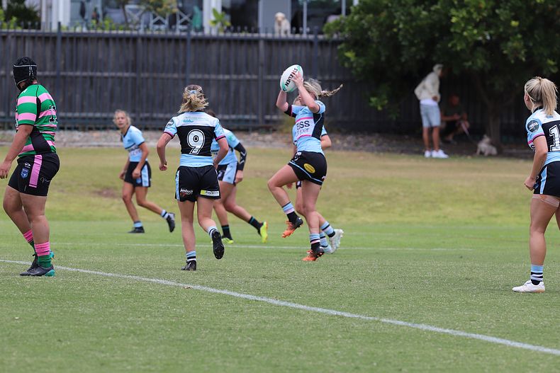HNWP Trial SHARKS v RABBITOH’S