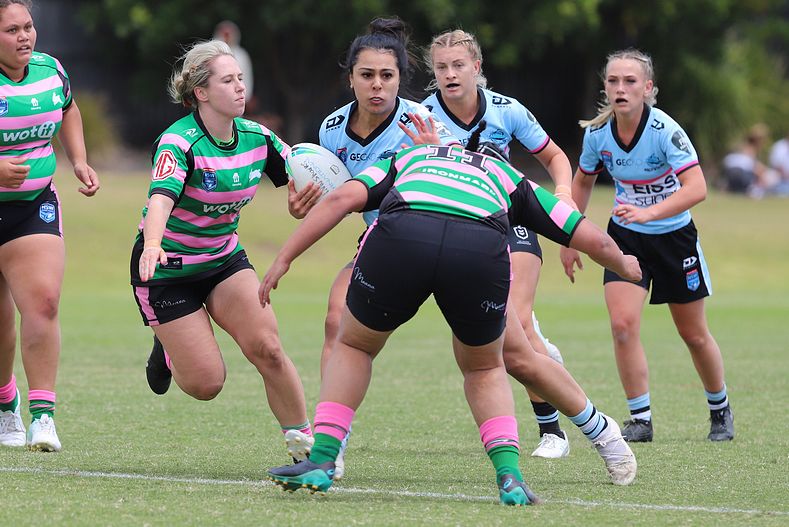 HNWP Trial SHARKS v RABBITOH’S