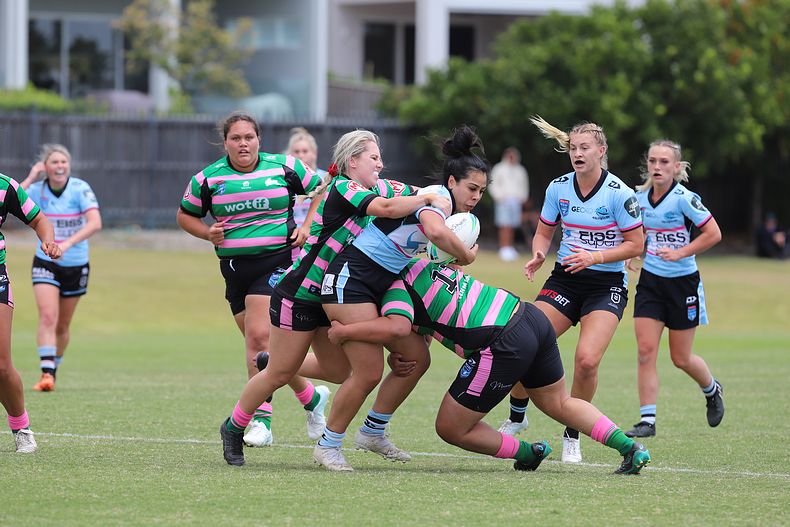 HNWP Trial SHARKS v RABBITOH’S