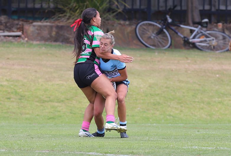 HNWP Trial SHARKS v RABBITOH’S