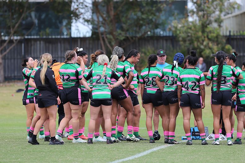 HNWP Trial SHARKS v RABBITOH’S
