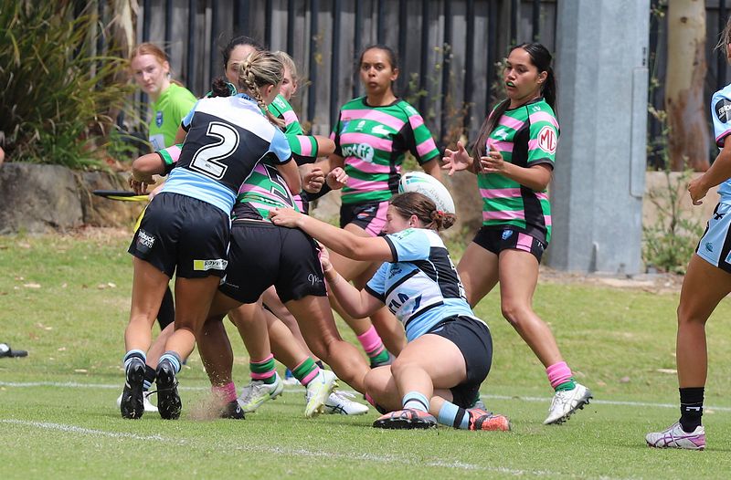 HNWP Trial SHARKS v RABBITOH’S