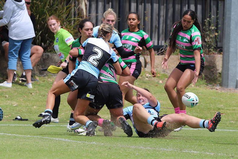 HNWP Trial SHARKS v RABBITOH’S