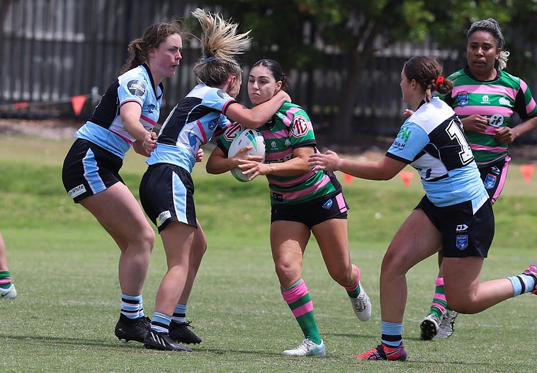 HNWP Trial SHARKS v RABBITOH’S
