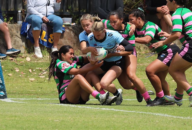 HNWP Trial SHARKS v RABBITOH’S
