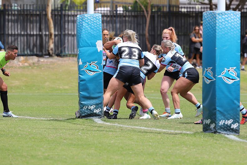 HNWP Trial SHARKS v RABBITOH’S