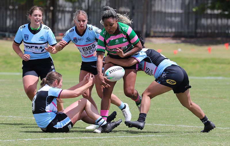 HNWP Trial SHARKS v RABBITOH’S