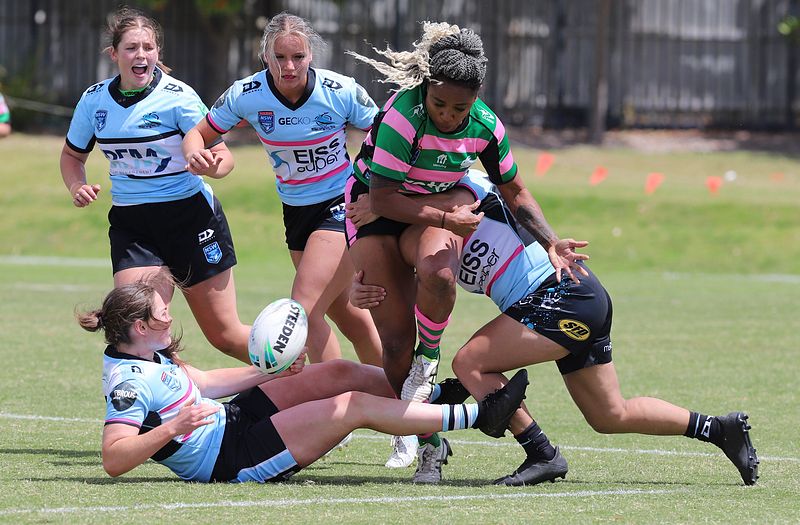 HNWP Trial SHARKS v RABBITOH’S